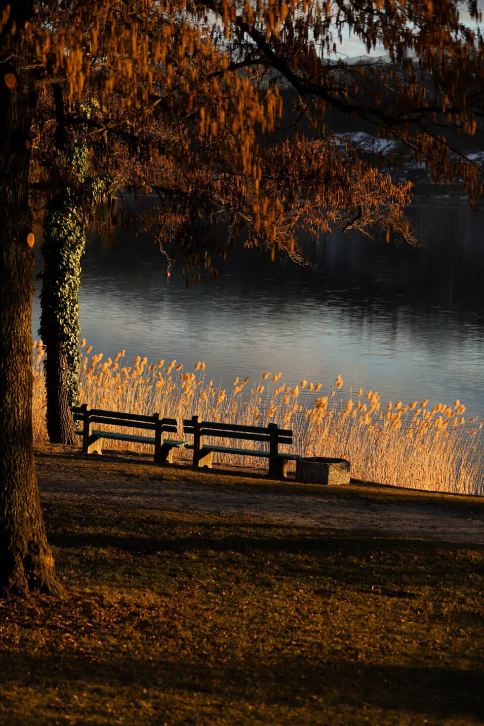 carina-kofler-frau-licht-fotografie-landschaftsfotografie11