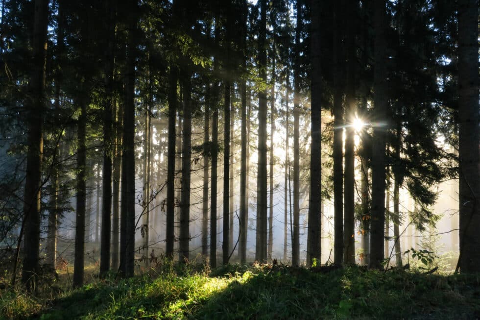 carina-kofler-frau-licht-fotografie-landschaftsfotografie30