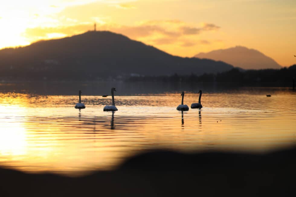 carina-kofler-frau-licht-fotografie-landschaftsfotografie32