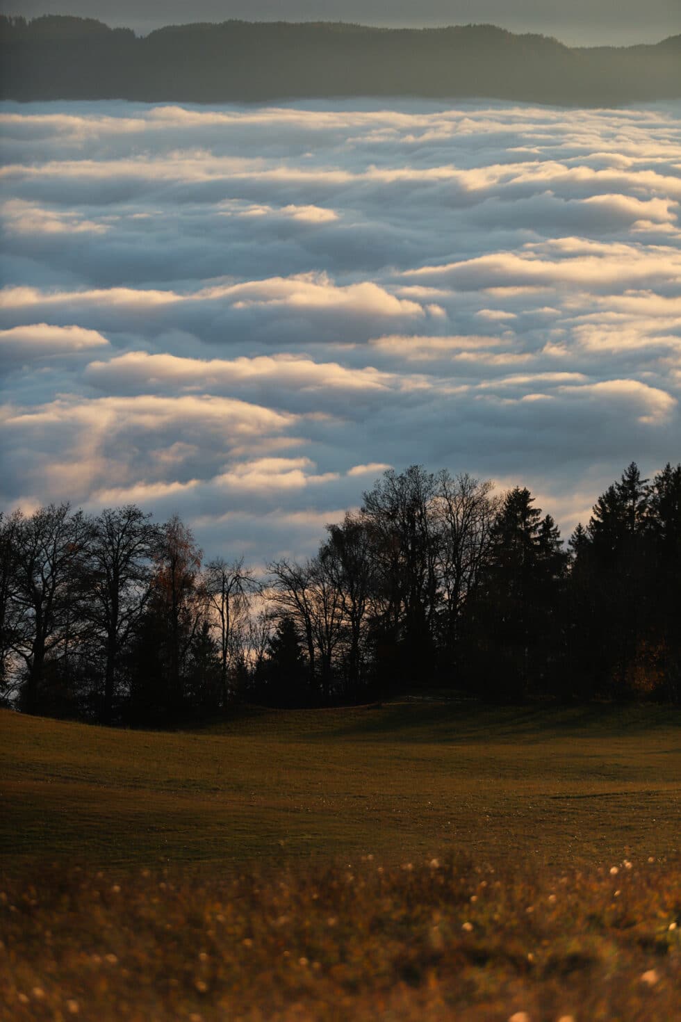carina-kofler-frau-licht-fotografie-landschaftsfotografie33