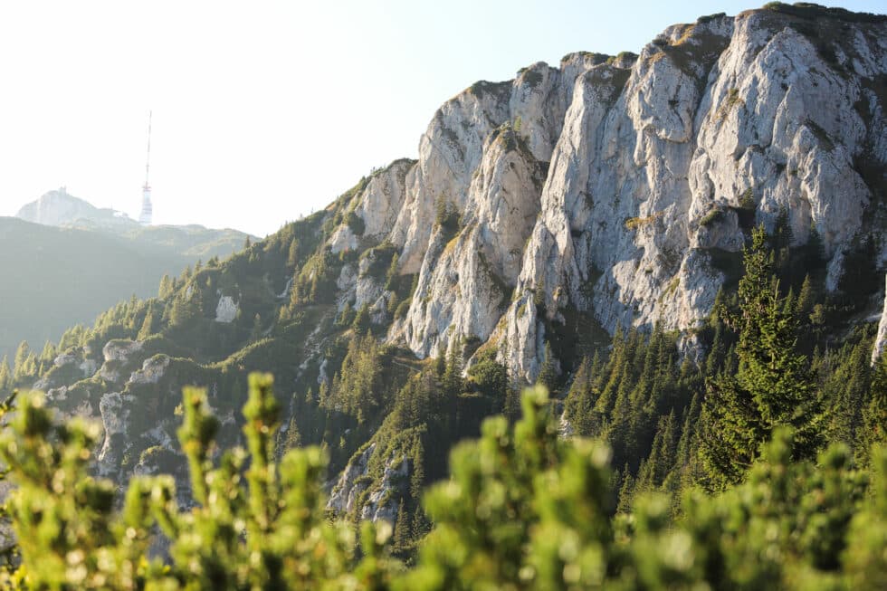 carina-kofler-frau-licht-fotografie-landschaftsfotografie36