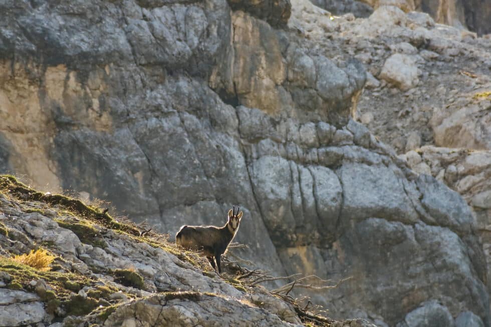 carina-kofler-frau-licht-fotografie-landschaftsfotografie38