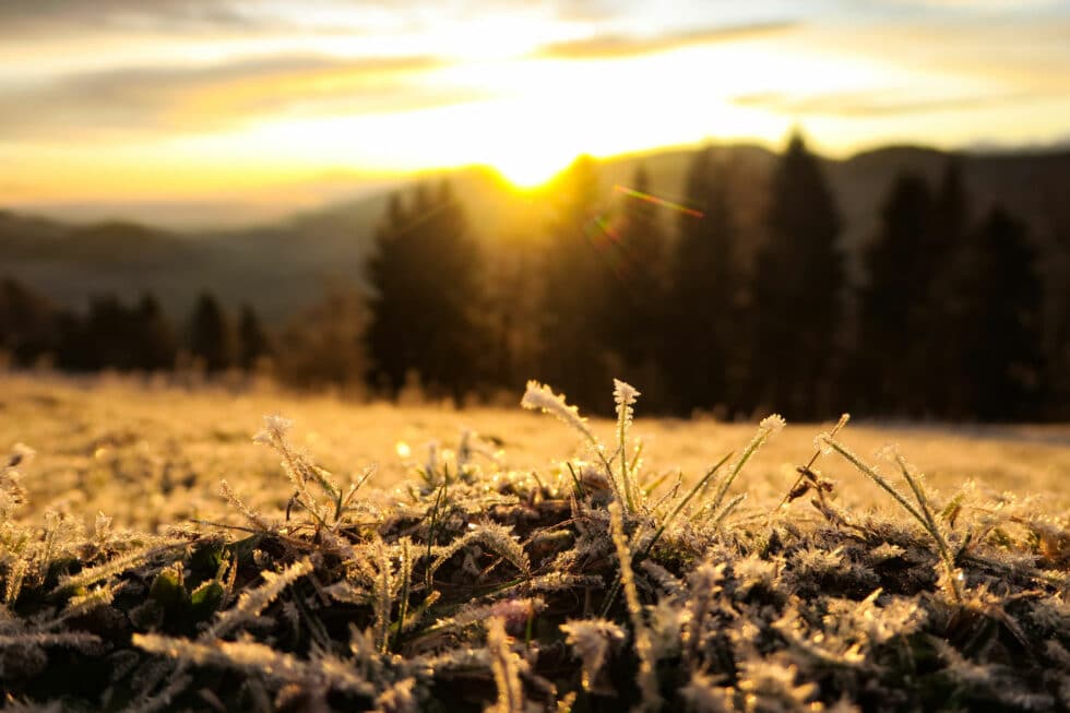 carina-kofler-frau-licht-fotografie-landschaftsfotografie7