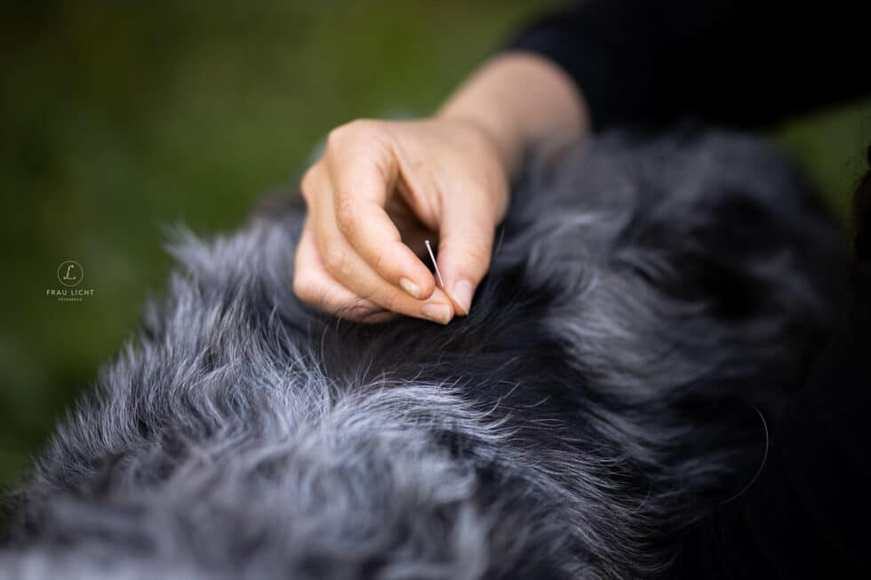 carina-kofler-frau-licht-fotografie-portraits-hochzeit13