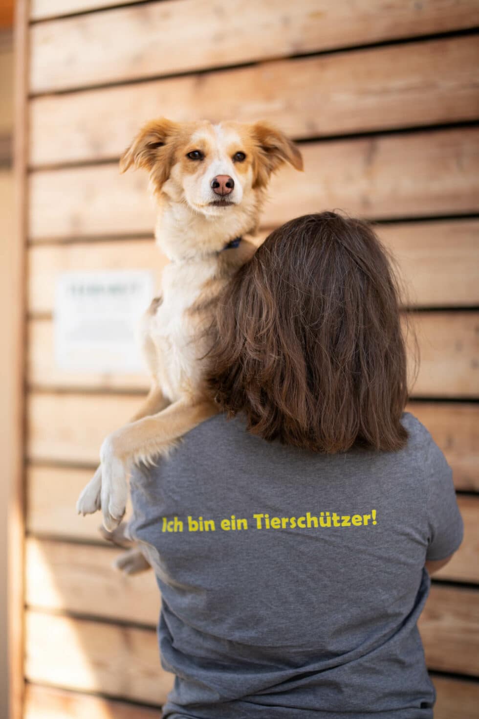 carina-kofler-frau-licht-fotografie-portraits-hochzeit9