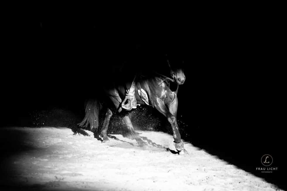 carina-kofler-frau-licht-fotografie-tierfotografie93