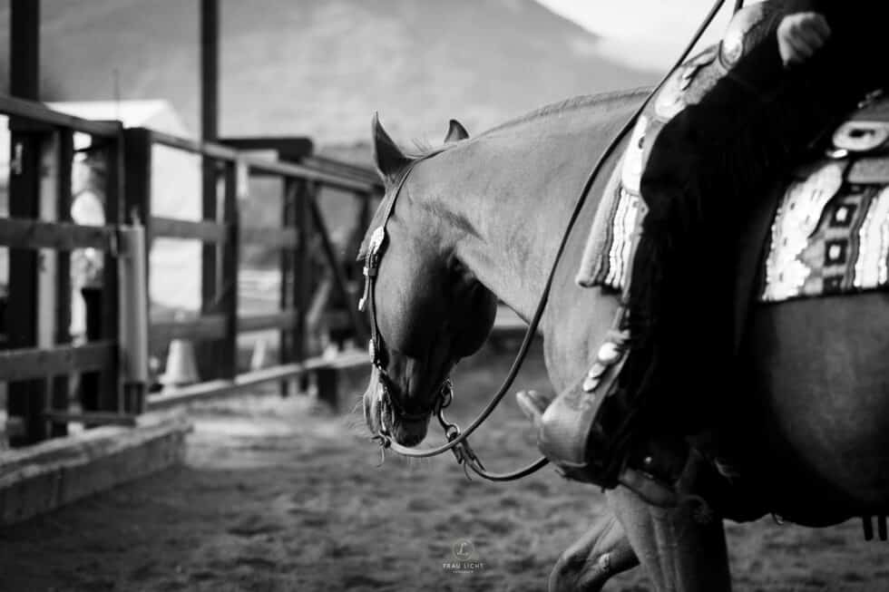 carina-kofler-frau-licht-fotografie-sport24