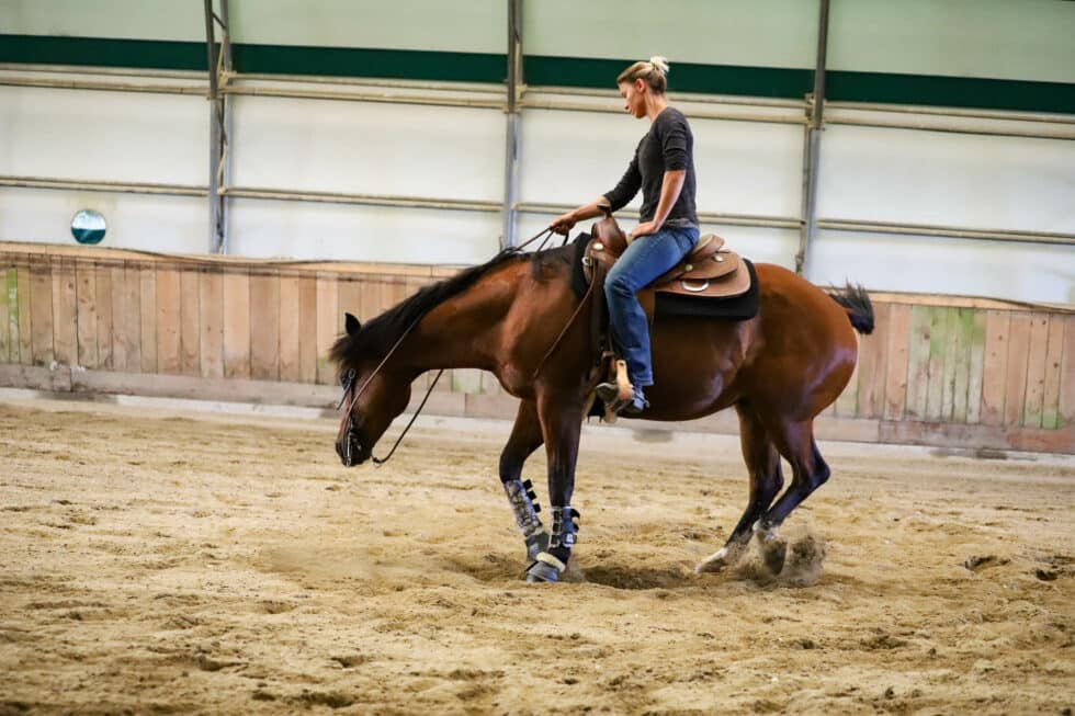carina-kofler-frau-licht-fotografie-sport42