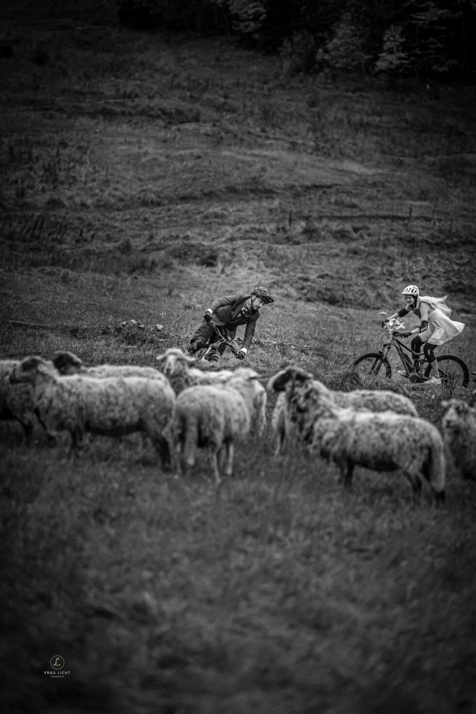 carina-kofler-frau-licht-fotografie-sport77